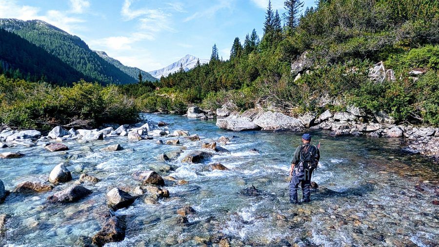 Pescatore a mosca in guado in un torrente alpino, fra le montagne